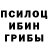 Галлюциногенные грибы GOLDEN TEACHER Illia Moshko