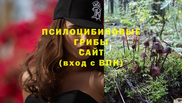 мдпв Кодинск