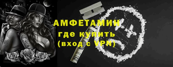 мдпв Кодинск