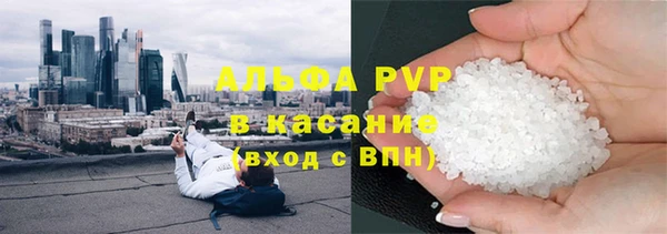 стафф Козельск