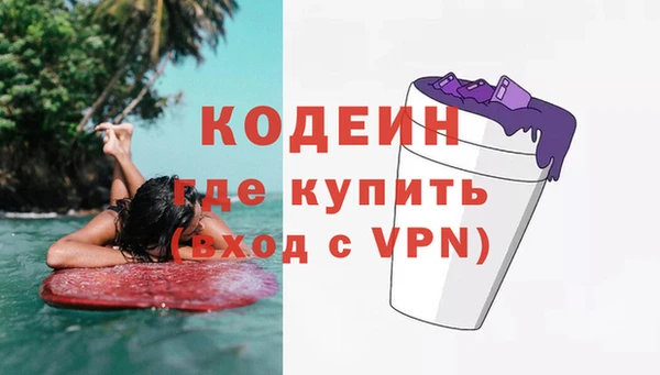мдпв Кодинск