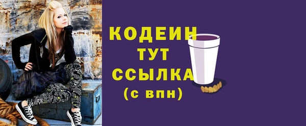 мдпв Кодинск