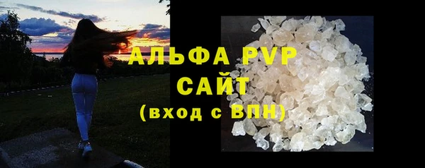 стафф Козельск