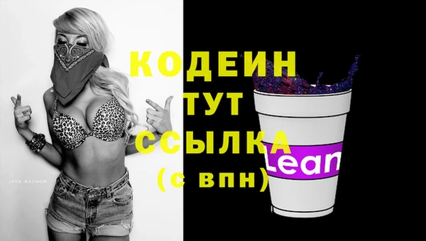 стафф Козловка