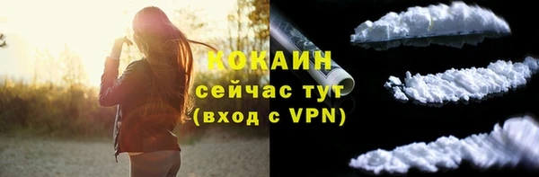 мдпв Кодинск