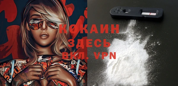 стафф Козловка